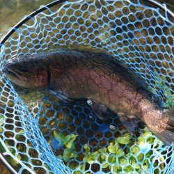 三桁釣果に大物もキャッチ！